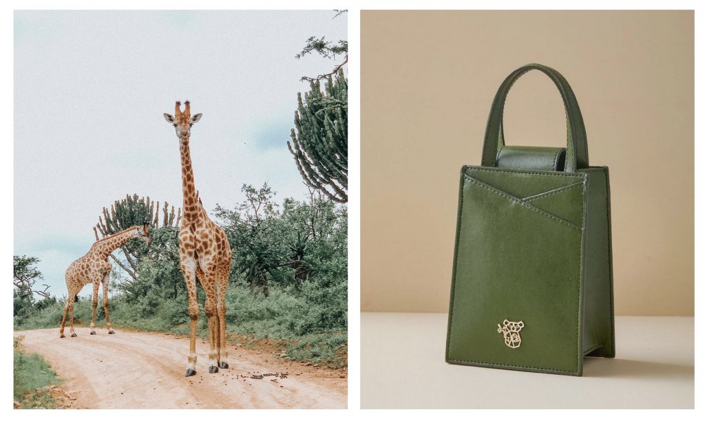 Amare_AquaWebsite-05