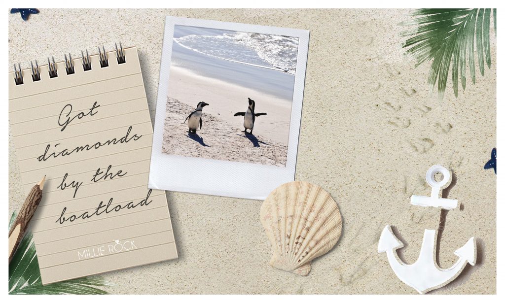 MillieRock_AquaWebsite-05